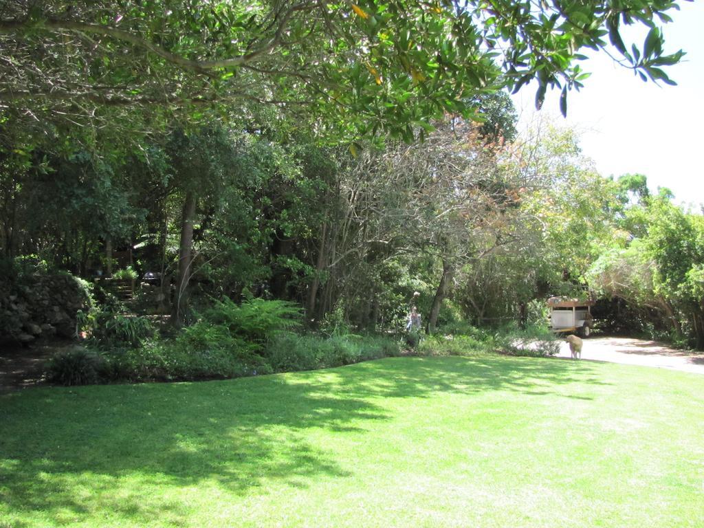 Kingfisher Country House Wilderness Εξωτερικό φωτογραφία