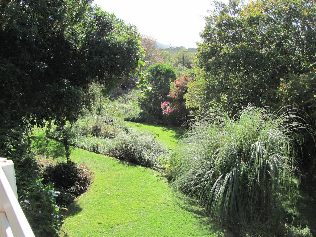 Kingfisher Country House Wilderness Εξωτερικό φωτογραφία